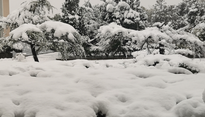有哪些 应对暴雪天气准备工作有哪些m6米乐app暴雪天气路面应急措施